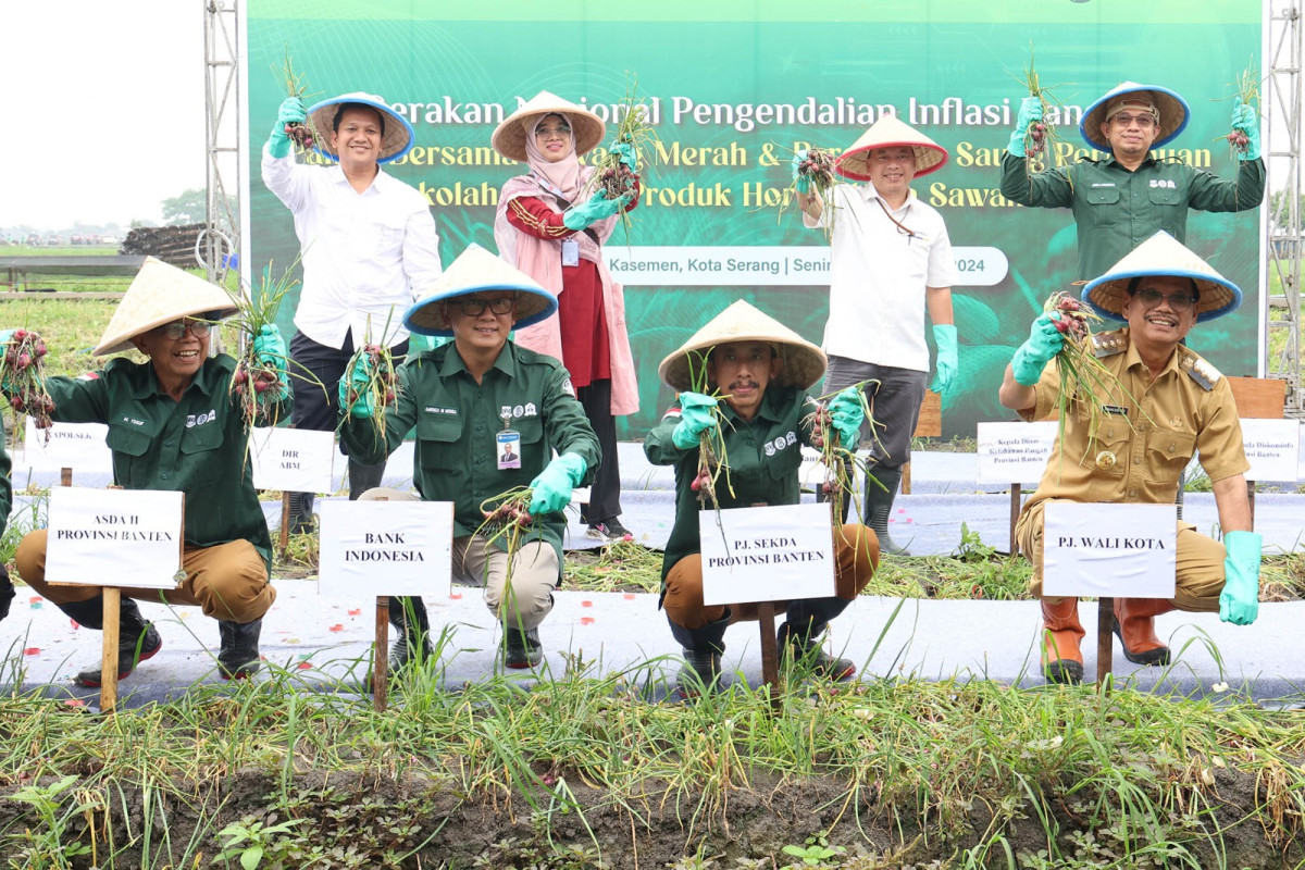 Pj Sekda Usman Asshiddiqi Qohara: Pemprov Banten Dorong Pengembangan Produksi Bawang Merah