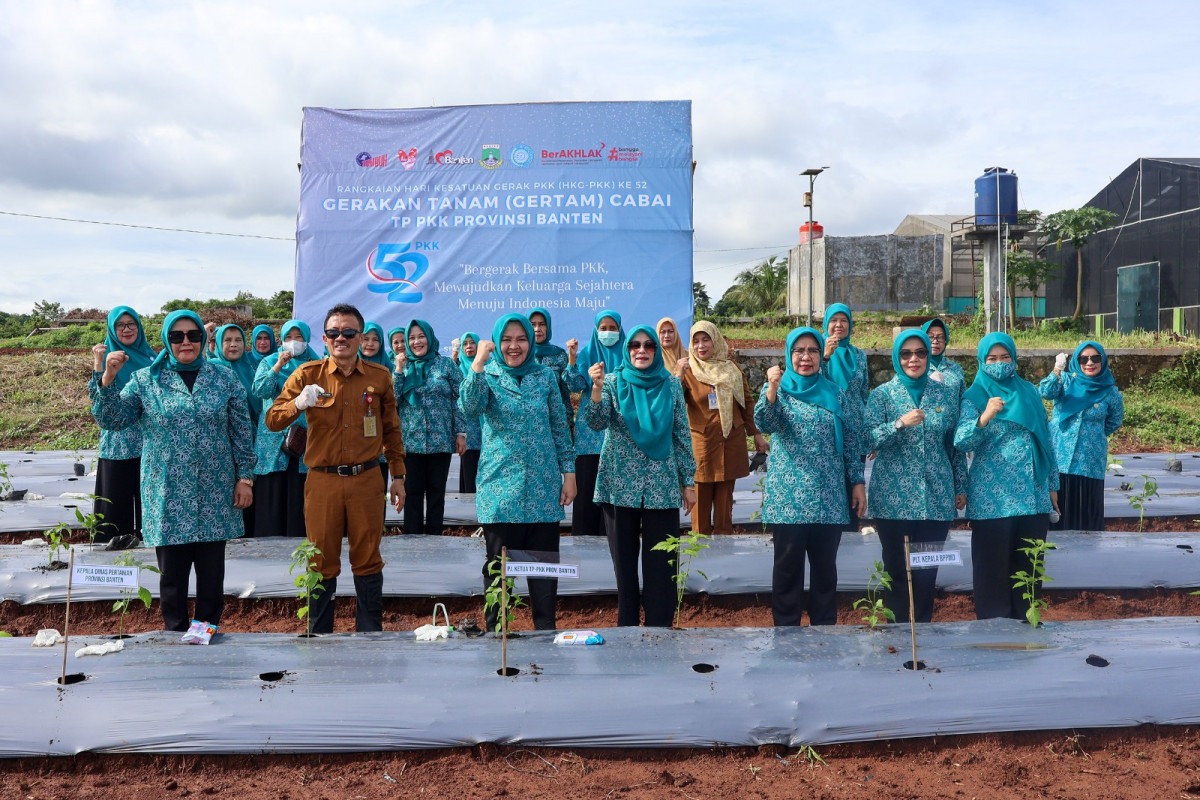 PKK Provinsi Banten Tanam 16.600 Bibit Cabai