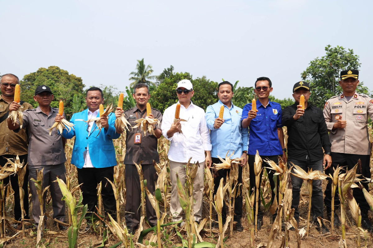 Wagub Dimyati Apresiasi Keterlibatan Pemuda dalam Program Ketahanan Pangan