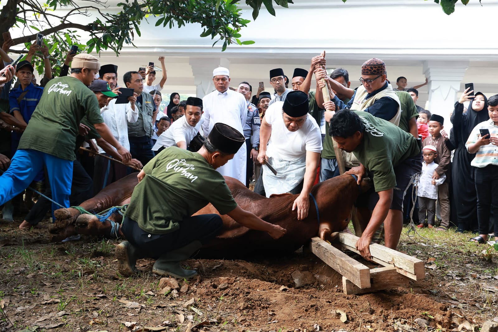 Usai Sholat Idul Adha 1444 H, Pj Gubernur Banten Potong Sapi Kurban Bantuan Presiden Joko Widodo